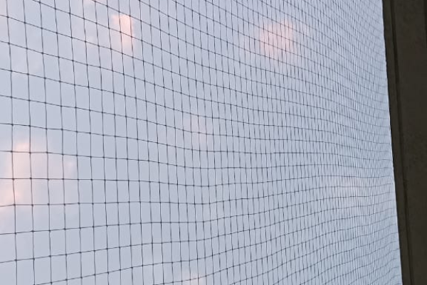 Bird Netting